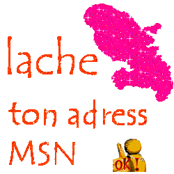 msn